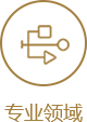 专业领域